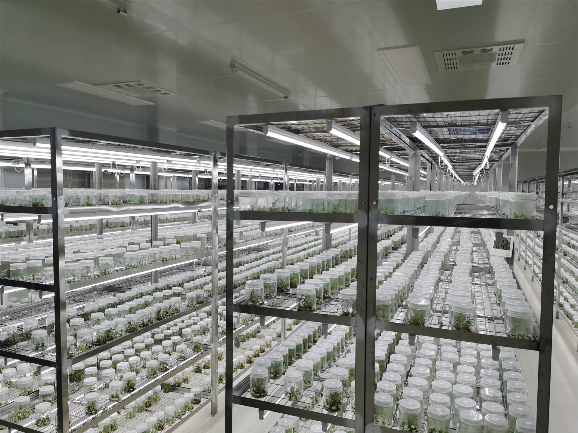 組培室凈化工程該如何設(shè)計(jì)？設(shè)計(jì)等級(jí)是什么？